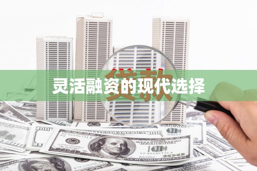 邵阳县灵活融资的现代选择