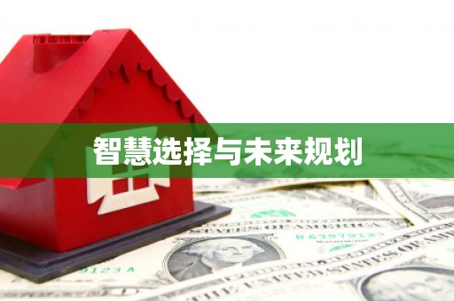 邵阳县智慧选择与未来规划