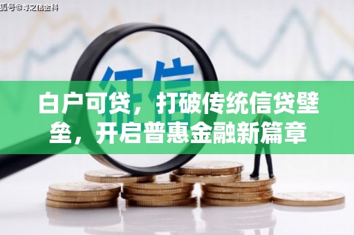 邵阳县白户可贷，打破传统信贷壁垒，开启普惠金融新篇章