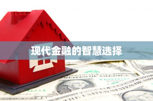 邵阳县现代金融的智慧选择