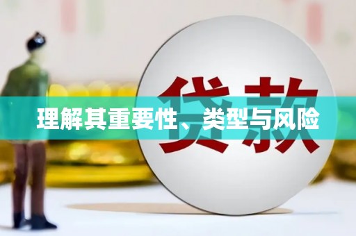 邵阳县理解其重要性、类型与风险
