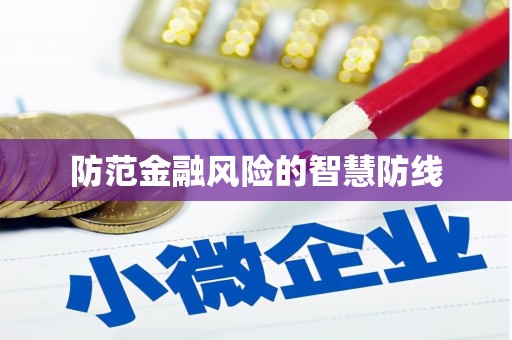 邵阳县防范金融风险的智慧防线