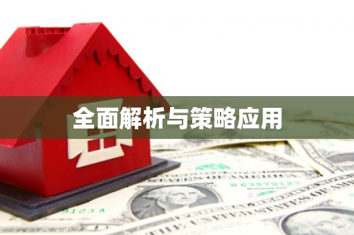 邵阳县全面解析与策略应用