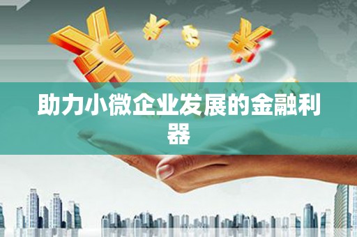 邵阳县助力小微企业发展的金融利器