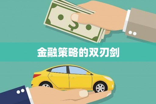 邵阳县金融策略的双刃剑