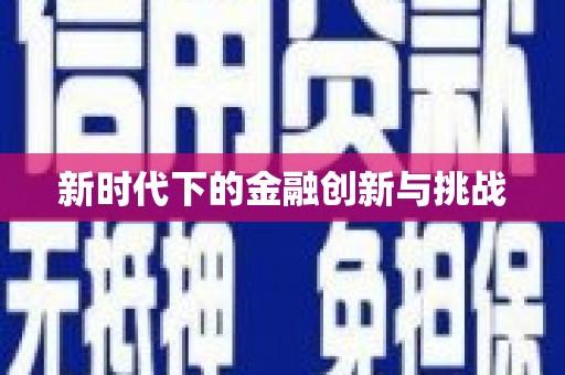 邵阳县新时代下的金融创新与挑战
