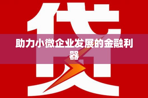 邵阳县助力小微企业发展的金融利器
