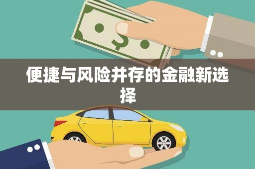 邵阳县便捷与风险并存的金融新选择