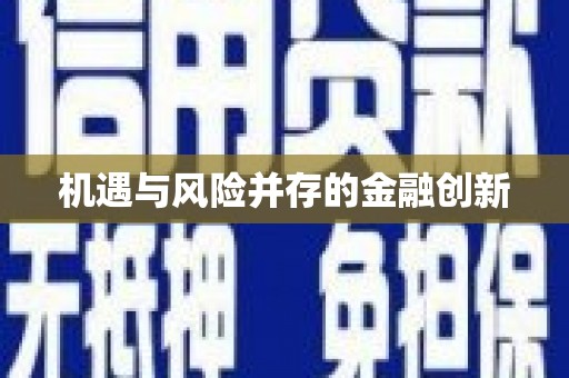 邵阳县机遇与风险并存的金融创新