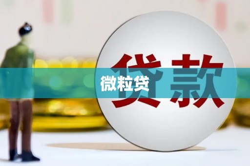 邵阳县微粒贷