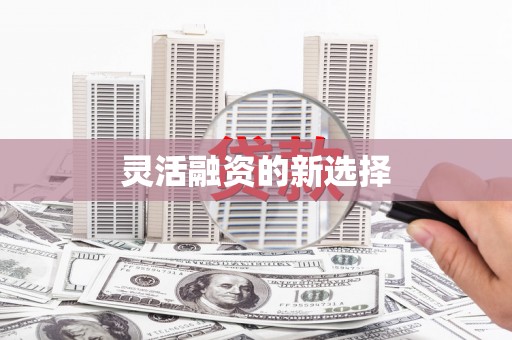 邵阳县灵活融资的新选择