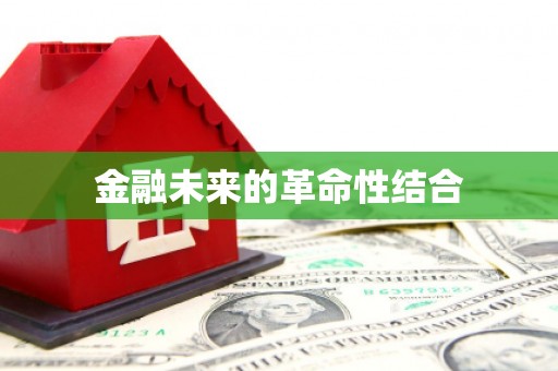 邵阳县金融未来的革命性结合
