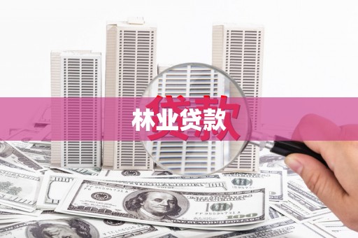 邵阳县林业贷款