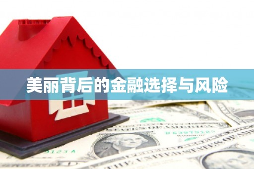 邵阳县美丽背后的金融选择与风险