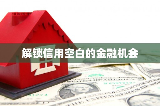 邵阳县解锁信用空白的金融机会