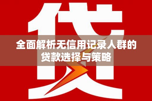 邵阳县全面解析无信用记录人群的贷款选择与策略