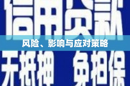 邵阳县风险、影响与应对策略