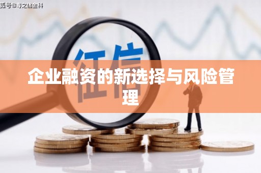 邵阳县企业融资的新选择与风险管理