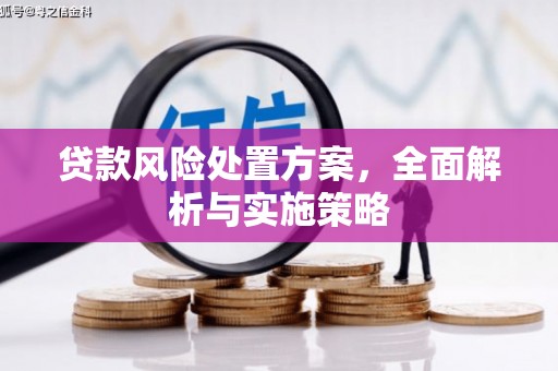 邵阳县贷款风险处置方案，全面解析与实施策略