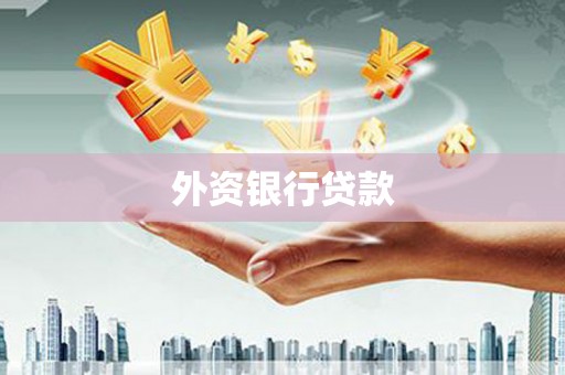 邵阳县外资银行贷款
