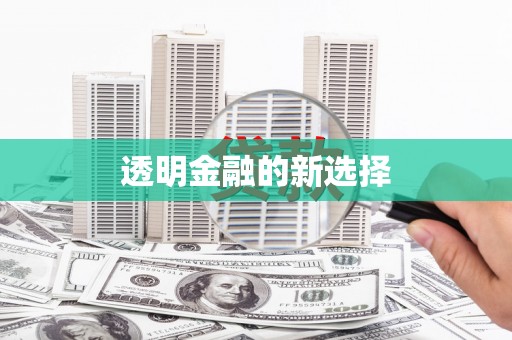 邵阳县透明金融的新选择