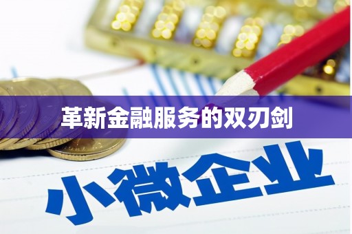 邵阳县革新金融服务的双刃剑