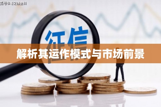 邵阳县解析其运作模式与市场前景