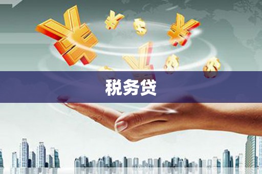 邵阳县税务贷