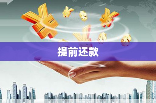 邵阳县提前还款