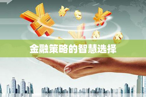 邵阳县金融策略的智慧选择