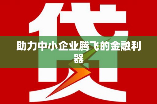 邵阳县助力中小企业腾飞的金融利器