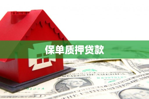 邵阳县保单质押贷款