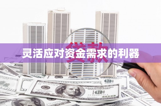 邵阳县灵活应对资金需求的利器