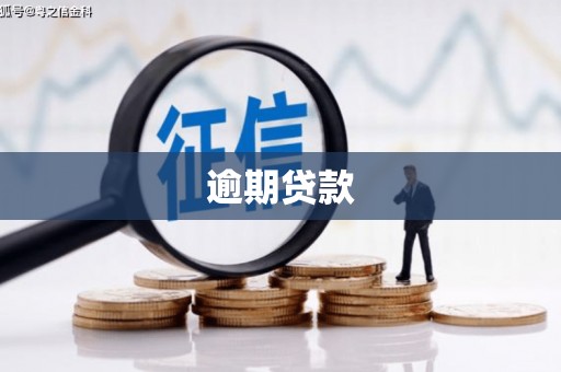 邵阳县逾期贷款