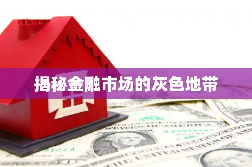 邵阳县揭秘金融市场的灰色地带
