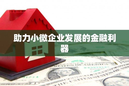 邵阳县助力小微企业发展的金融利器