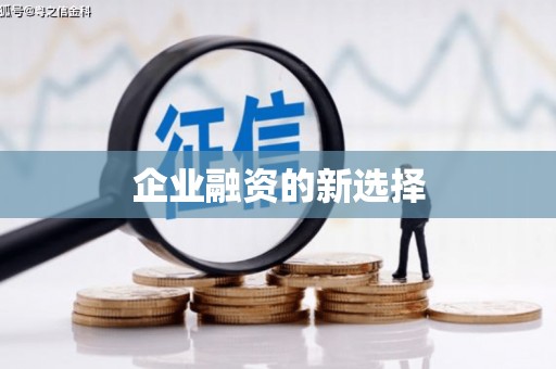 邵阳县企业融资的新选择