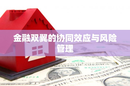 邵阳县金融双翼的协同效应与风险管理