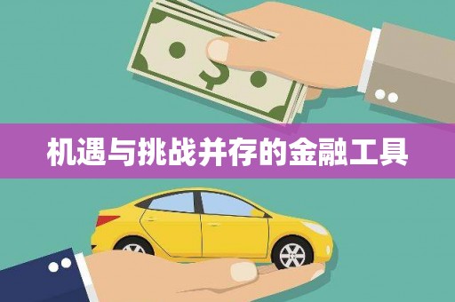 邵阳县机遇与挑战并存的金融工具