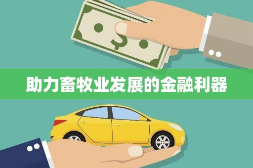 邵阳县助力畜牧业发展的金融利器