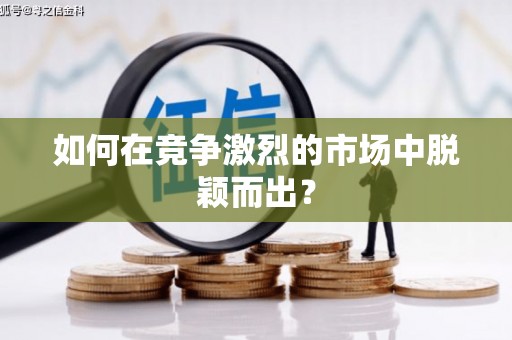 邵阳县如何在竞争激烈的市场中脱颖而出？