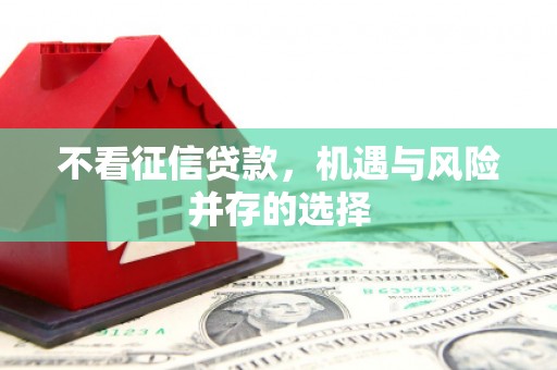 邵阳县不看征信贷款，机遇与风险并存的选择