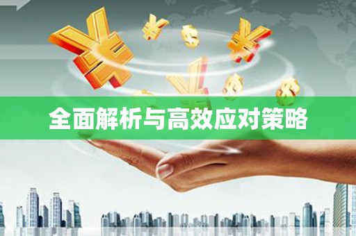 邵阳县全面解析与高效应对策略