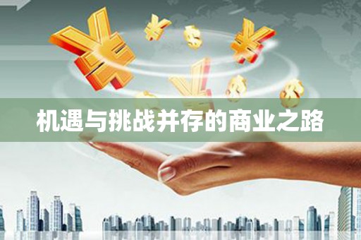 邵阳县机遇与挑战并存的商业之路