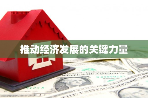 邵阳县推动经济发展的关键力量