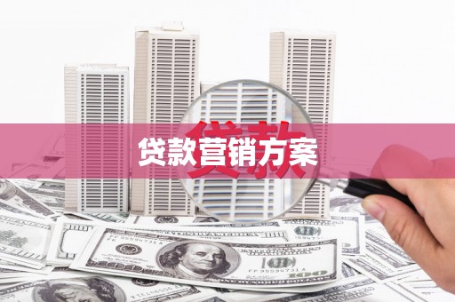 邵阳县贷款营销方案