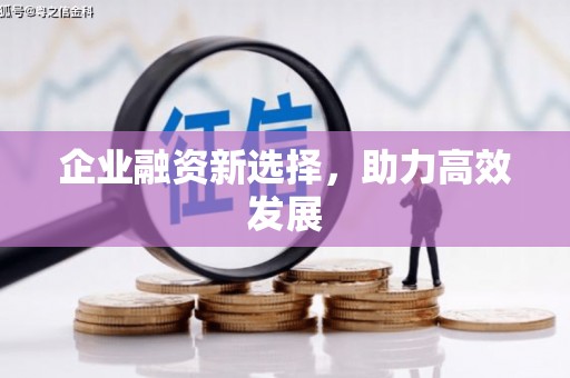 邵阳县企业融资新选择，助力高效发展