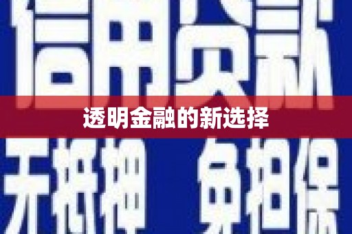 邵阳县透明金融的新选择