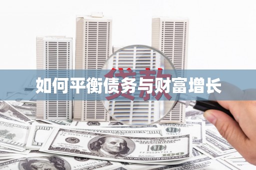 邵阳县如何平衡债务与财富增长