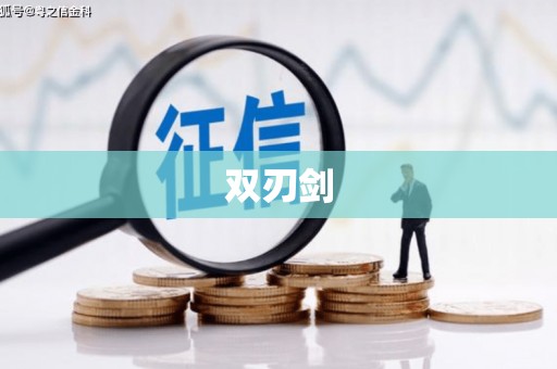 邵阳县双刃剑